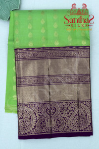 pista-green-colour-body-in-zari-butta-with-contrast-blouse-border