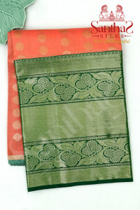 peach-colour-body-in-zari-butta-with-contrast-blouse-border