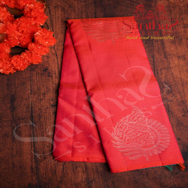 PINKISH ORANGE COLOUR BODY COPPER BIG BUTTA WITH CONTRAST BLOUSE