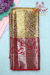 gold-tissue-body-with-contrast-blouse-border