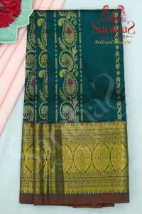 peacock-blue-body-with-contrast-blouse-border