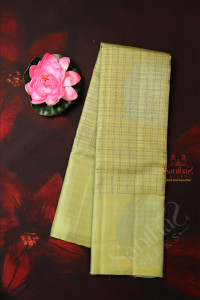 borderless-iguana-green-colour-checked-body-with-embose-big-butta-with-contrast-blouse