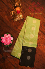 MINT GREEN COLOUR BODY WITH SILVER ZARI MOTIFS AND CONTRAST BLOUSE