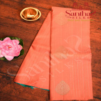 borderless-coral-peach-colour-body-with-rosegold-green-zari-strips-motifs-and-contrast-blouse