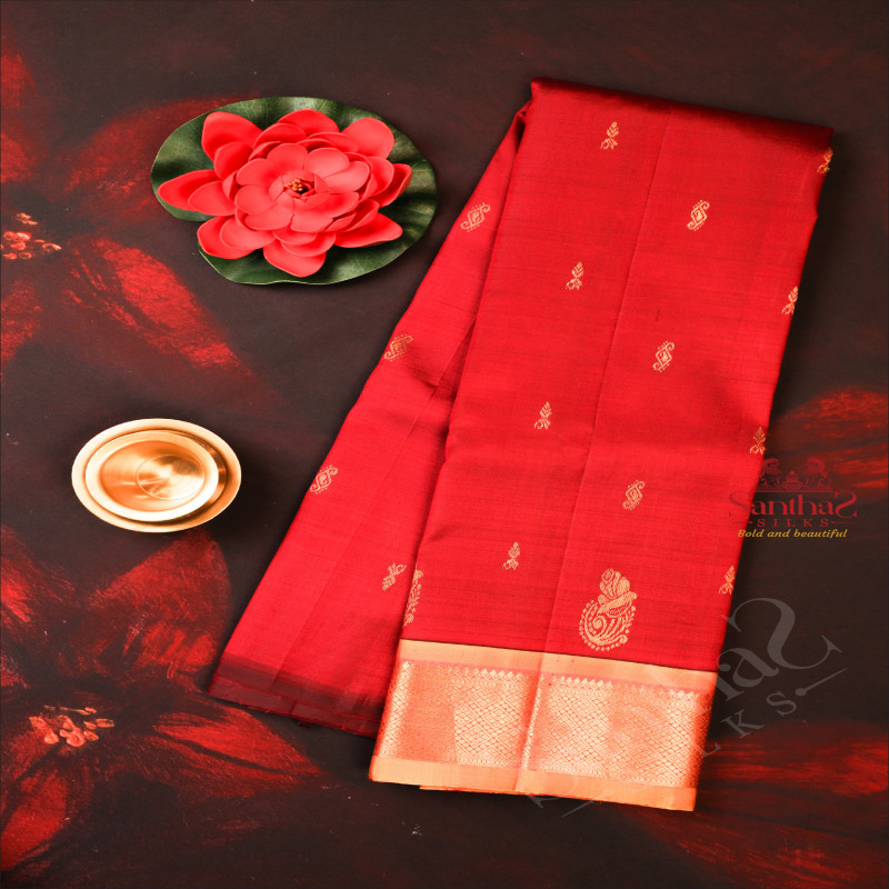 MAROON COLOUR BODY WITH GOLDEN ZARI BUTTAS & SINGLE SIDE BORDER AND CONTRAST PALLU WITHOUT BLOUSE