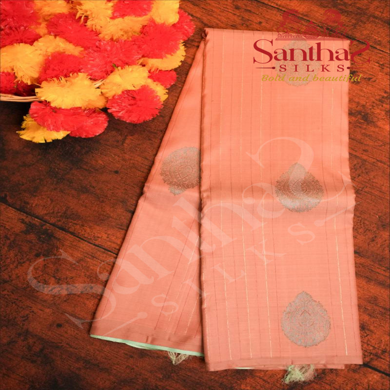 BORDERLESS PEACH COLOUR BODY WITH SILVER ZARI & PEACOCK BLUE THREAD MOTIFS & STRIPS AND CONTRAST BLOUSE