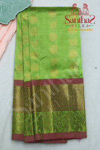 sneha-green-in-body-with-contrast-blouse-border
