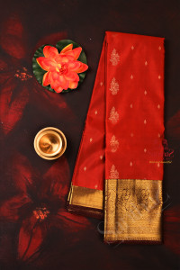 honey-colour-body-with-golden-zari-buttas-with-contrast-blouse-border
