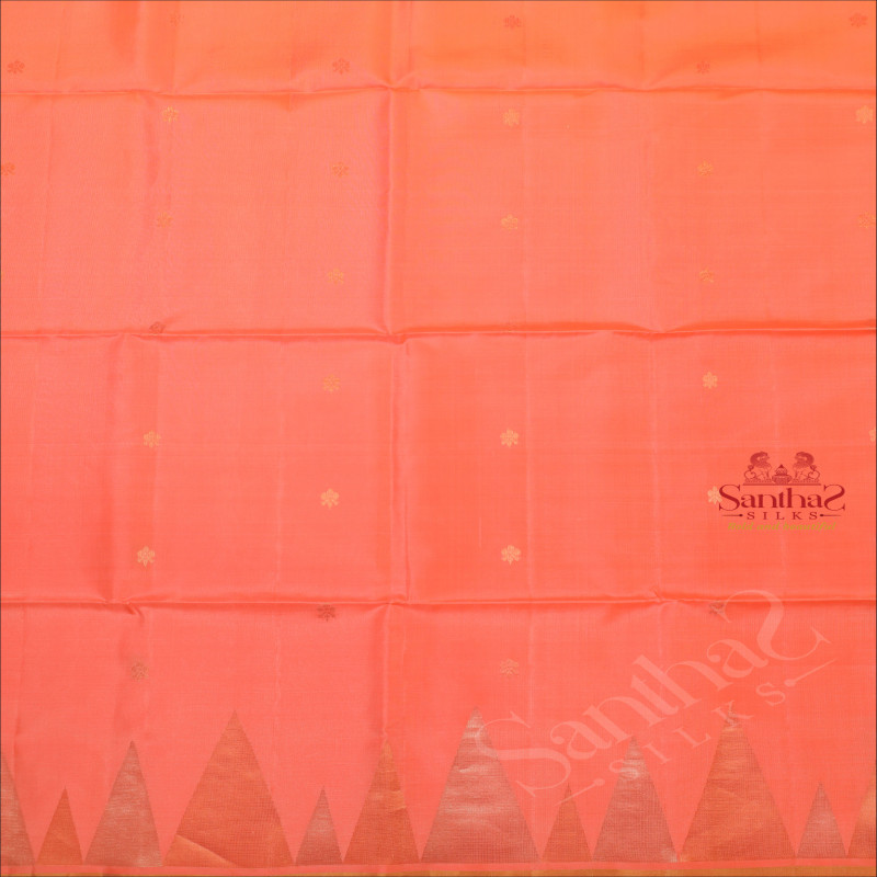 PEACH COLOUR BODY WITH GOLDEN ZARI BUTTA AND CONTRAST COLOUR PALLU & BLOUSE