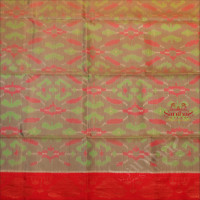 MISTY GRAY COLOUR BODY WITH POCHAMPALLY PATTERN WITH CONTRAST BLOUSE & BORDER