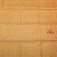 SANDAL COLOUR BODY WITH GOLDEN ZARI FANCY BUTTA WITH CONTRAST BLOUSE & BORDER