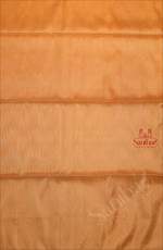 SANDAL COLOUR BODY WITH GOLDEN FANCY ZARI WITH CONTRAST BLOUSE & BORDER