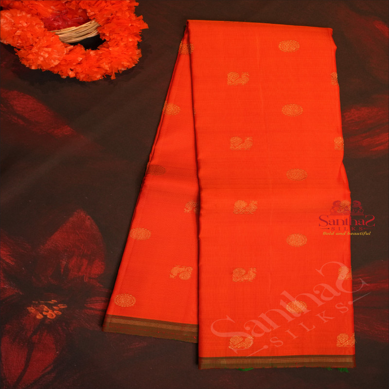 ORANGISH RED COLOUR BODY WITH GOLDEN ZARI SMALL BUTTAS AND CONTRAST COLOUR PALLU & BLOUSE
