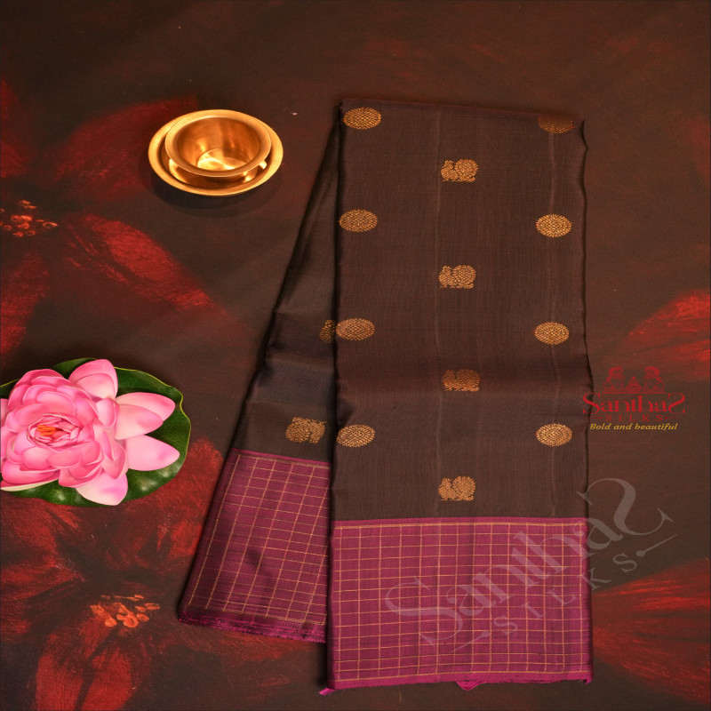COFFEE BROWN COLOUR BODY WITH ANNAM CHAKKARAM BUTTA WITH CONTRAST BLOUSE & BORDER