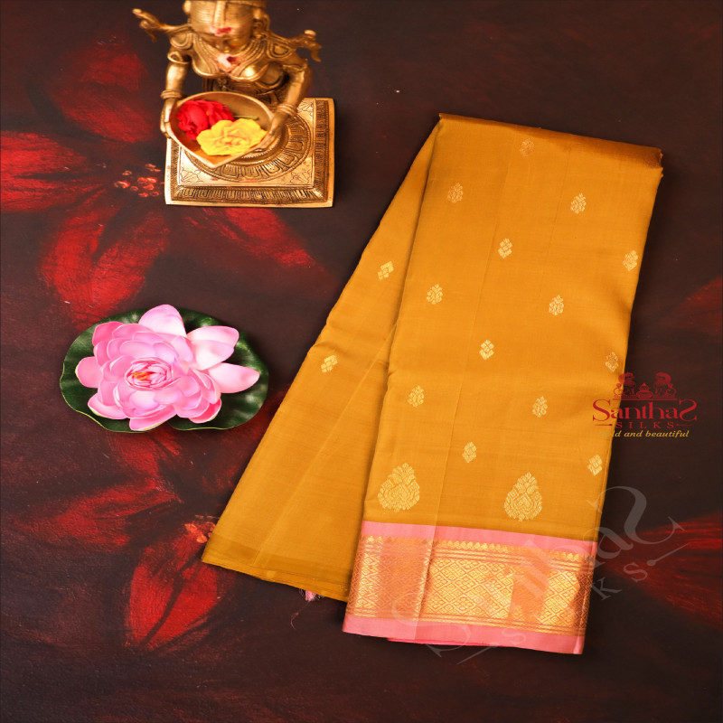 DARK GOLD COLOUR BODY WITH GOLDEN ZARI BUTTAS & SINGLE SIDE BORDER AND CONTRAST PALLU WITHOUT BLOUSE