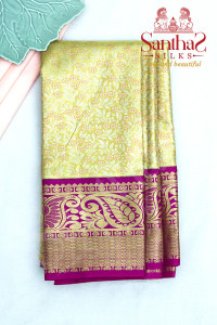 golden-tissue-body-in-floral-pattern-with-pink-border-and-jacquard-blouse