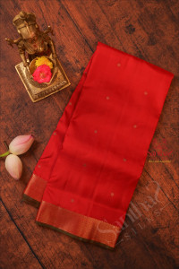 9-yards-madisar-red-colour-body-with-golden-zari-coin-butta-with-self-blouse