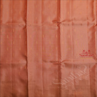 BORDERLESS MALIBU PEACH COLOUR BODY WITH GOLDEN ZARI TEMPLE BUTTA WITH CONTRAST BLOUSE