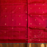PINK COLOUR BODY WITH GOLDEN ZARI MANGO BUTTA WITH CONTRAST BLOUSE & BORDER