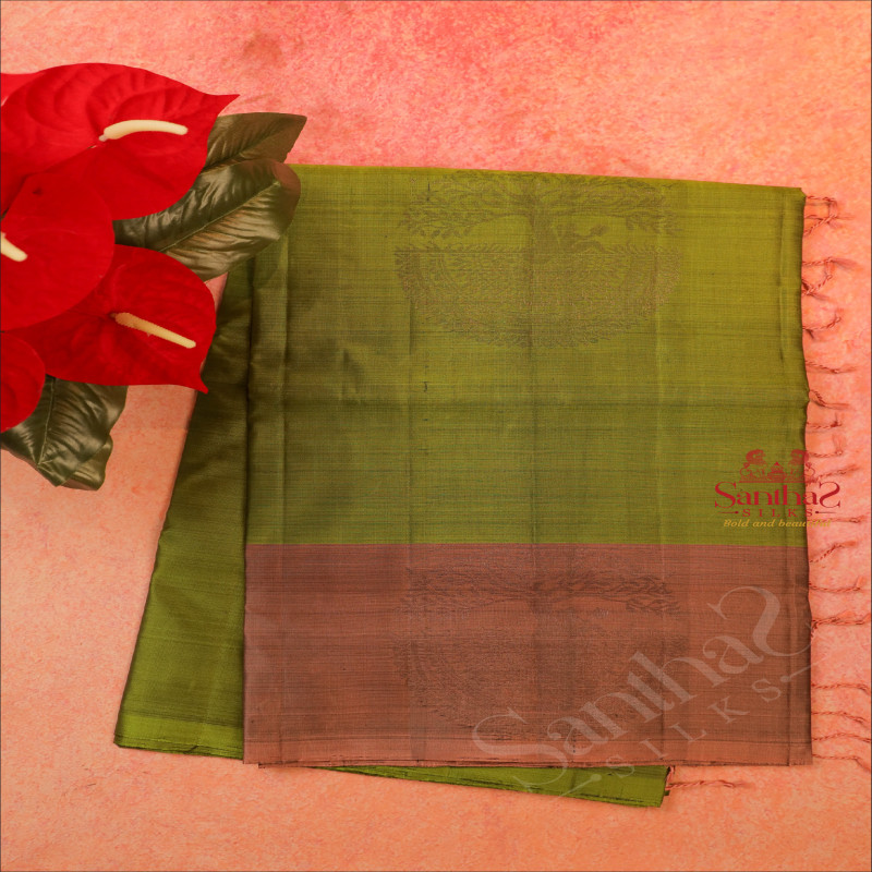 AVOCADO GREEN COLOUR BODY WITH TREE NEEM ZARI WITH CONTRAST BLOUSE & BORDER