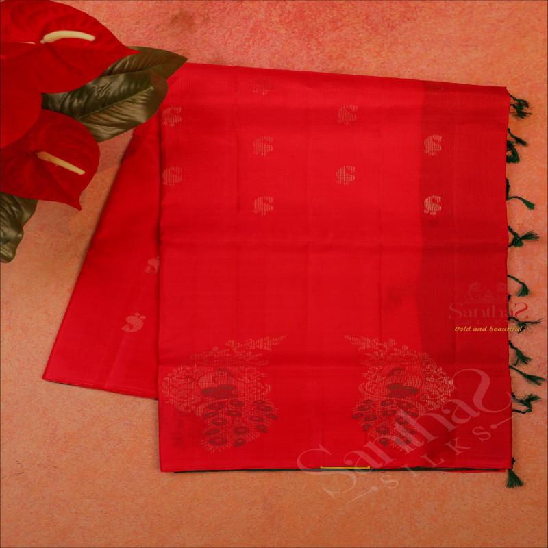 BORDERLESS RED COLOUR BODY WITH GOLDEN ZARI BUTTA WITH CONTRAST BLOUSE & BORDER