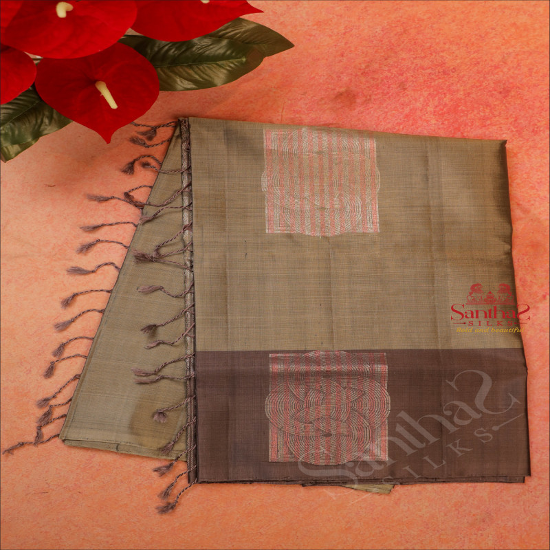 ASH GREY COLOUR BODY WITH SILVER PINK ZARI BIG BUTTA WITH CONTRAST BLOUSE & BORDER