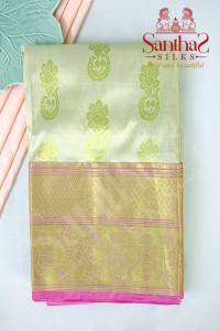 ivory-colour-body-in-floral-butta-with-contrast-blouse-border