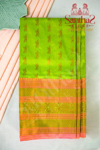 sneha-green-body-in-peacock-zari-butta-with-contrast-blouse-border