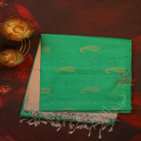 emerald-green-colour-body-with-golden-zari-mango-motifs-and-contrast-colour-pallu-blouse