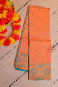 creamy-peach-colour-body-with-golden-zari-coin-butta-with-contrast-blouse-border