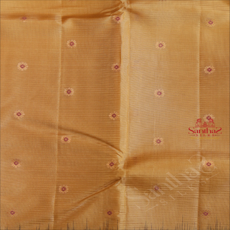 CREAM COLOUR BODY WITH GOLDEN ZARI BUTTAS AND CONTRAST PALLU & BLOUSE