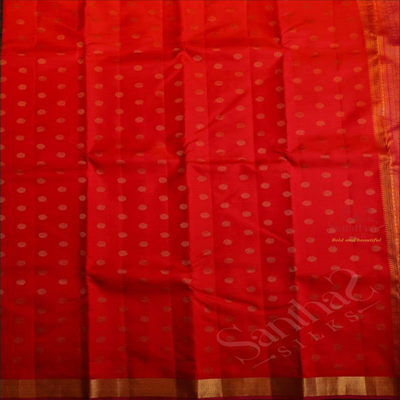 ORANGISH PINK COLOUR BODY WITH GOLDEN ZARI BUTTAS AND CONTRAST PALLU & BLOUSE