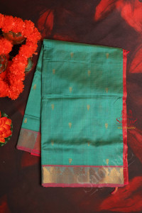 turquoise-blue-colour-body-with-golden-zari-butta-with-contrast-blouse-border