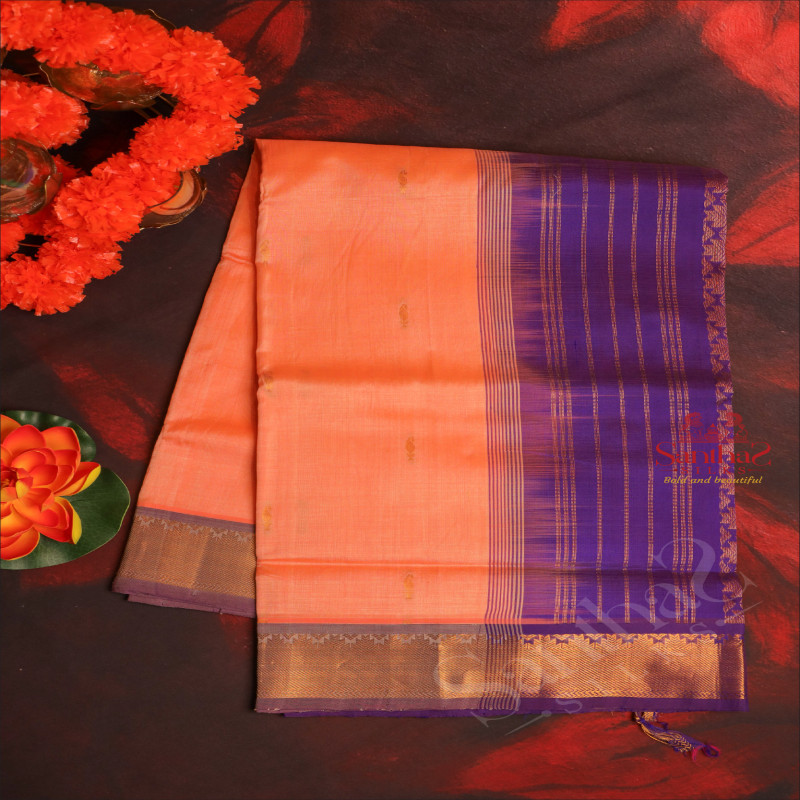 PASTEL PEACH COLOUR BODY WITH GOLDEN ZARI LEAF BUTTA WITH CONTRAST BLOUSE & BORDER