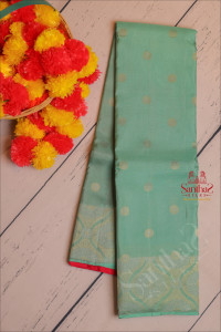 borderless-turquoise-blue-colour-body-with-golden-zari-coin-butta-with-contrast-blouse