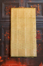 PASTEL GREEN COLOUR CHINAYA SAREE WITH BANARASI DESIGN BODY AND CONTRAST COLOUR PALLU & BLOUSE