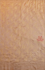 GEORGETTE BANARAS SAREE IN CREAM COLOUR WITH SELF COLOUR BLOUSE