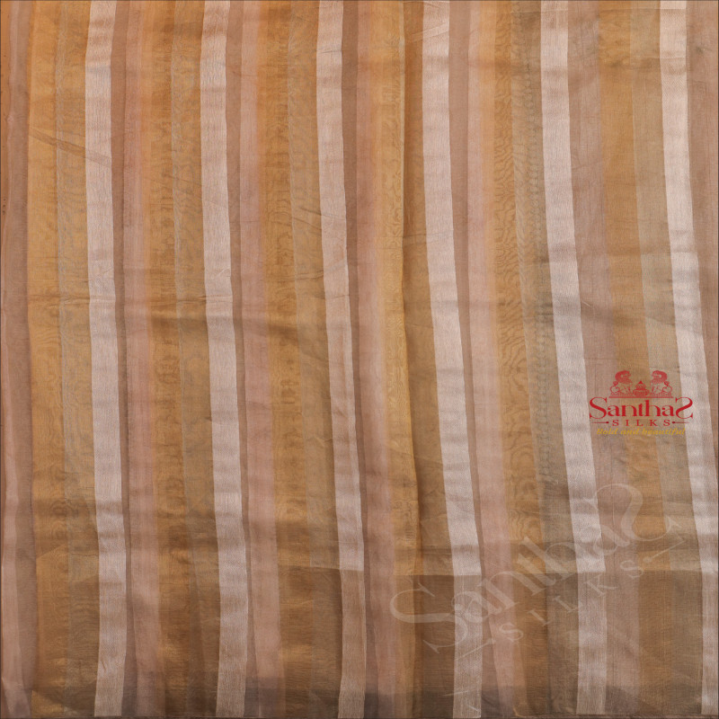 ORGANZA SAREE IN GREY COLOUR WITH LACE BORDER