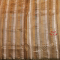 ORGANZA TISSUE SAREE WITH PASTEL OLIVE GREEN COLOUR LACE BORDER