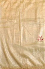 PISTACHIO GREEN COLOUR ORGANZA TISSUE SAREE WITH FANCY WORK BORDER AND SELF BLOUSE