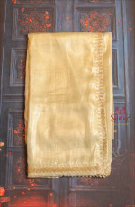 PISTACHIO GREEN COLOUR ORGANZA TISSUE SAREE WITH FANCY WORK BORDER AND SELF BLOUSE