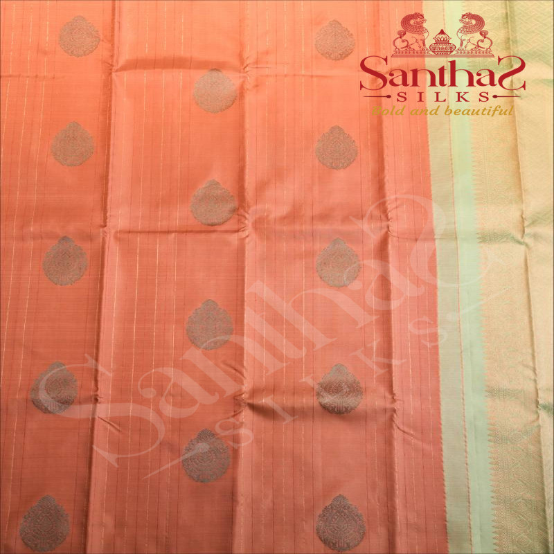 BORDERLESS PEACH COLOUR BODY WITH SILVER ZARI & PEACOCK BLUE THREAD MOTIFS & STRIPS AND CONTRAST BLOUSE