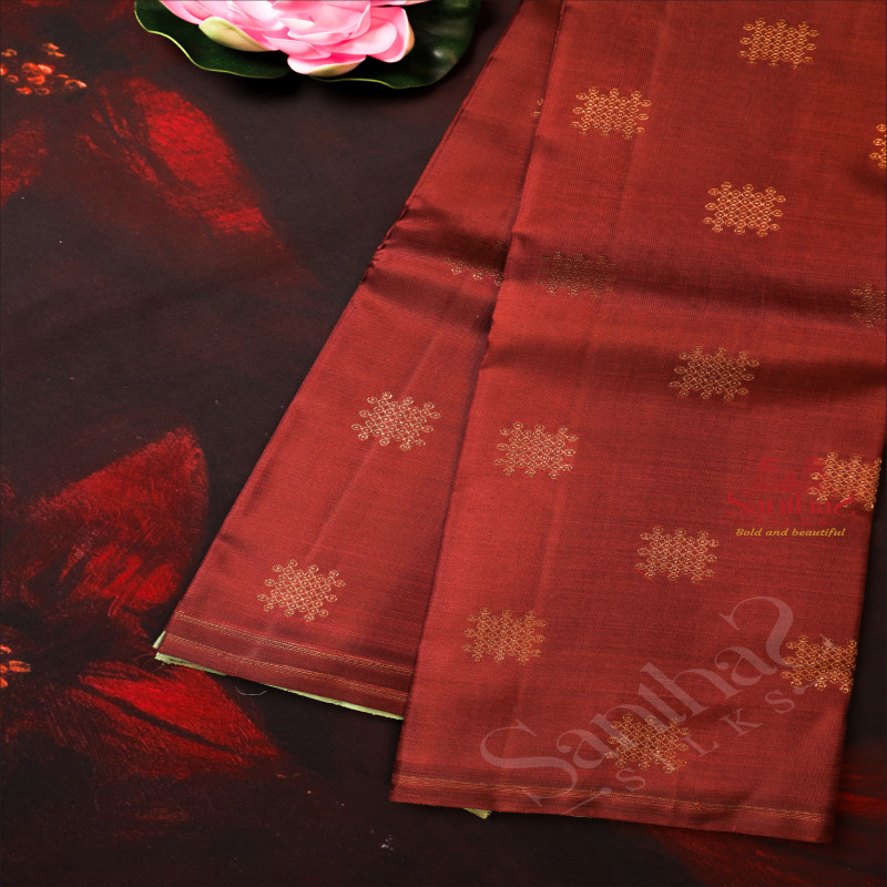 LIGHT BROWN COLOUR BODY WITH GOLDEN ZARI KOLAM BUTTA WITH CONTRAST BLOUSE