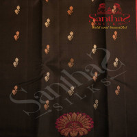BORDERLESS BLACK COLOUR BODY WITH COPPER & SILVER ZARI BUTTAS AND FLOWER MOTIFS WITH CONTRAST BLOUSE
