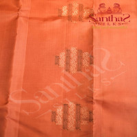 BORDERLESS PEACH COLOUR BODY WITH COPPER AND BLACK ZARI MOTIFS AND CONTRAST BLOUSE