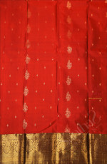 HONEY COLOUR BODY WITH GOLDEN ZARI BUTTAS WITH CONTRAST BLOUSE & BORDER