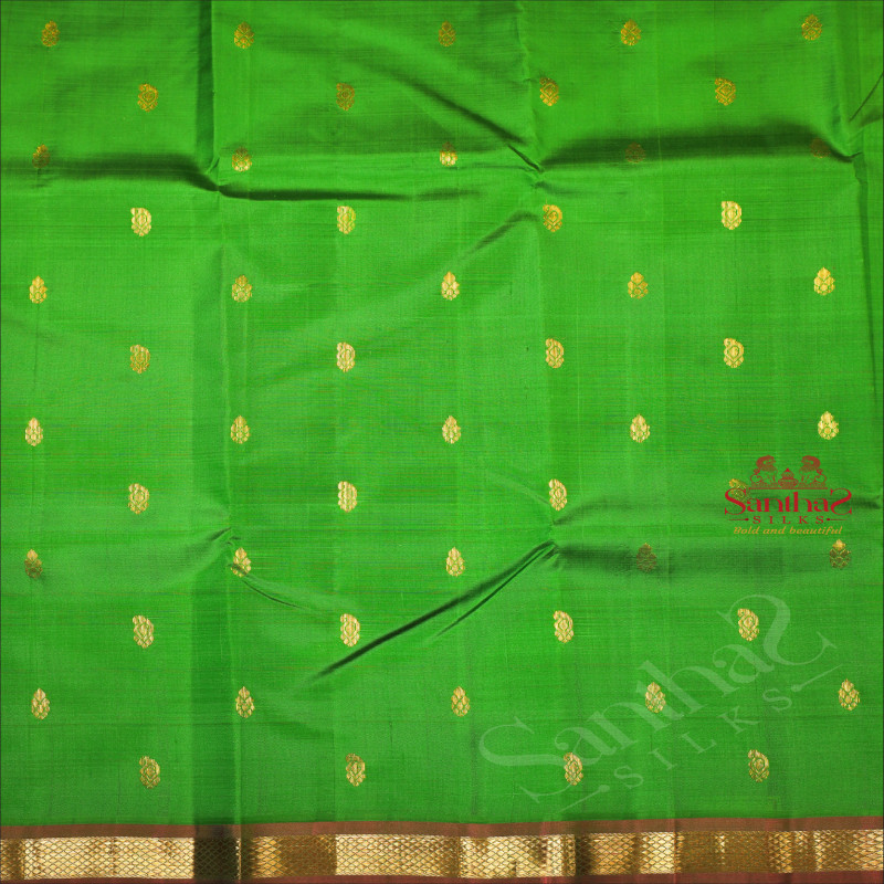 ONESIDE BORDER PARROT GREEN COLOUR BODY WITH GOLDEN ZARI BUTTA & WITHOUT BLOUSE