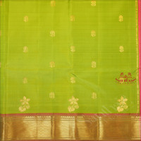 APPLE GREEN COLOUR BODY WITH GOLDEN ZARI BUTTAS & SINGLE SIDE BORDER AND CONTRAST PALLU WITHOUT BLOUSE
