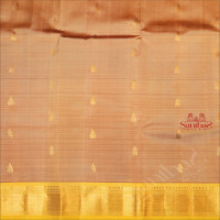 SATIN SHEEN GOLD COLOUR BODY WITH GOLDEN ZARI BUTTAS & SINGLE SIDE BORDER AND CONTRAST PALLU WITHOUT BLOUSE