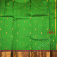 ONESIDE BORDER GREEN COLOUR BODY WITH GOLDEN ZARI BUTTA & WITHOUT BLOUSE